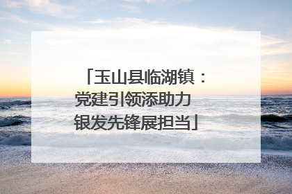 玉山县临湖镇：党建引领添助力 银发先锋展担当