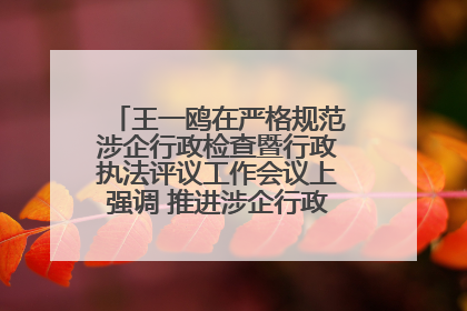 王一鸥在严格规范涉企行政检查暨行政执法评议工作会议上强调 推进涉企行政检查质效大幅提升