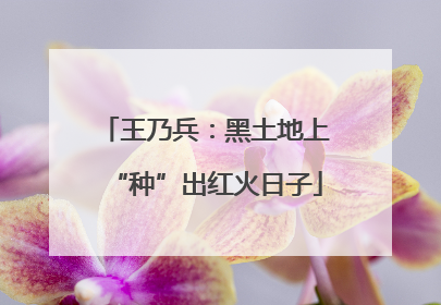 王乃兵：黑土地上“种”出红火日子