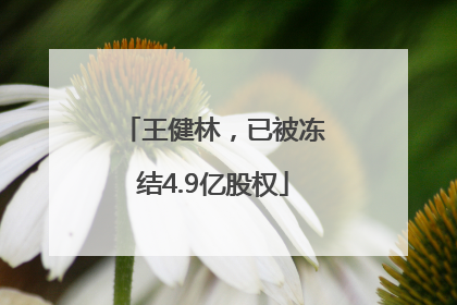 王健林，已被冻结4.9亿股权