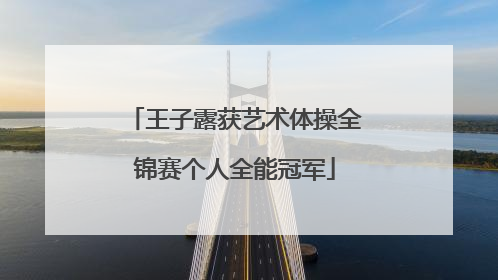 王子露获艺术体操全锦赛个人全能冠军