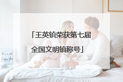 王英镇荣获第七届全国文明镇称号