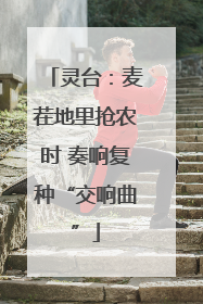 灵台：麦茬地里抢农时 奏响复种“交响曲”