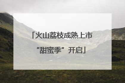 火山荔枝成熟上市 “甜蜜季”开启