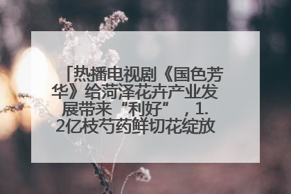 热播电视剧《国色芳华》给菏泽花卉产业发展带来“利好”，1.2亿枝芍药鲜切花绽放“国色芳华”
