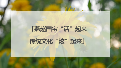 燕赵国宝“活”起来 传统文化“炫”起来