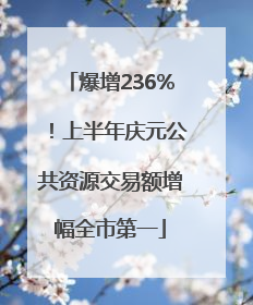爆增236%！上半年庆元公共资源交易额增幅全市第一