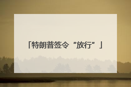 特朗普签令“放行”