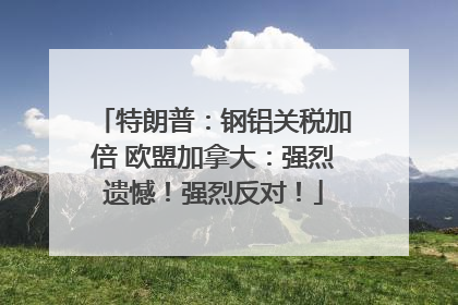 特朗普：钢铝关税加倍 欧盟加拿大：强烈遗憾！强烈反对！