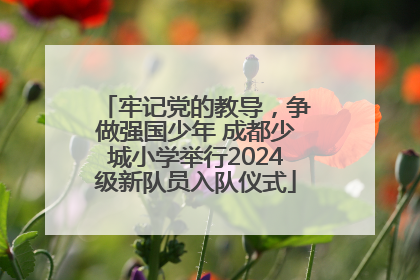 牢记党的教导，争做强国少年 成都少城小学举行2024级新队员入队仪式