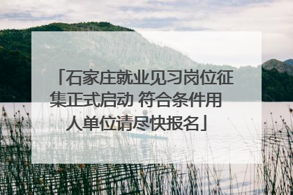石家庄就业见习岗位征集正式启动 符合条件用人单位请尽快报名