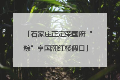 石家庄正定荣国府“粽”享国潮红楼假日