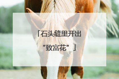 石头缝里开出“致富花”