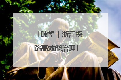 瞭望｜浙江探路高效能治理