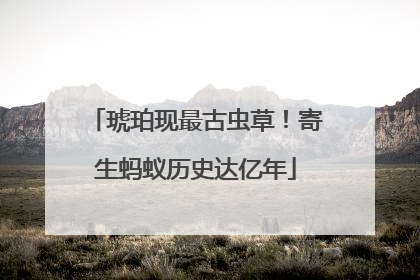 琥珀现最古虫草！寄生蚂蚁历史达亿年
