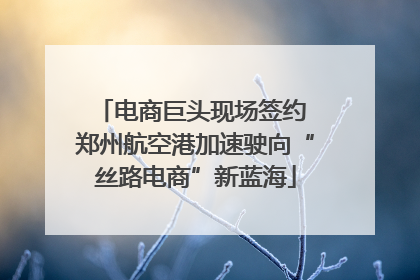 电商巨头现场签约 郑州航空港加速驶向“丝路电商”新蓝海