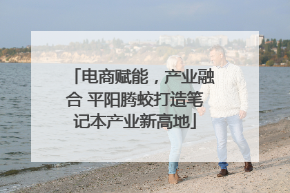 电商赋能，产业融合 平阳腾蛟打造笔记本产业新高地