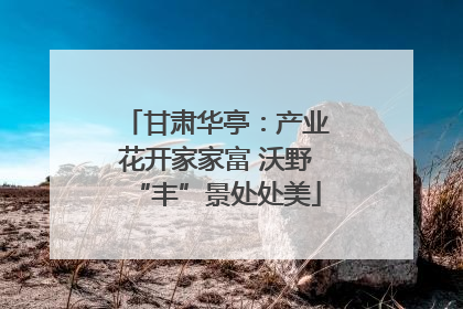 甘肃华亭：产业花开家家富 沃野“丰”景处处美