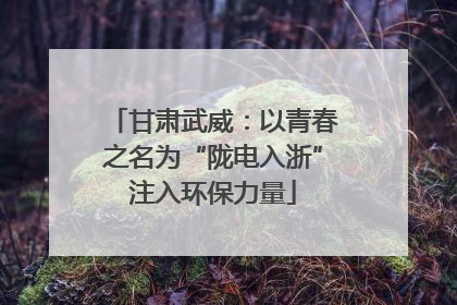 甘肃武威：以青春之名为“陇电入浙”注入环保力量