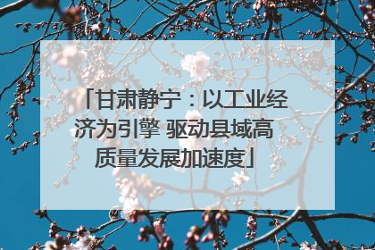 甘肃静宁：以工业经济为引擎 驱动县域高质量发展加速度