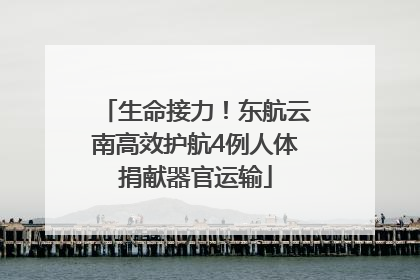 生命接力！东航云南高效护航4例人体捐献器官运输