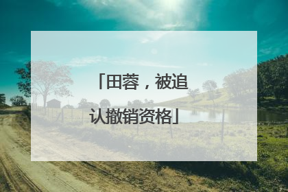 田蓉，被追认撤销资格
