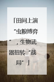 田间上演“虫粮博弈”，生物武器扭转“战局”