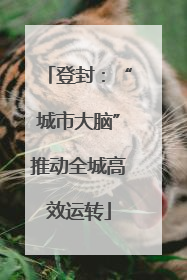 登封：“城市大脑”推动全城高效运转