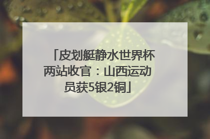 皮划艇静水世界杯两站收官：山西运动员获5银2铜
