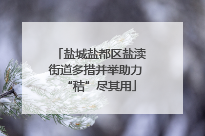 盐城盐都区盐渎街道多措并举助力“秸”尽其用
