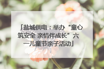 盐城供电：举办“童心筑安全 亲情伴成长”六一儿童节亲子活动