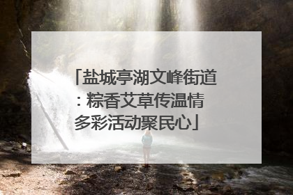 盐城亭湖文峰街道：粽香艾草传温情 多彩活动聚民心