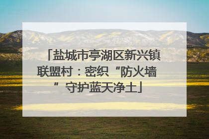 盐城市亭湖区新兴镇联盟村：密织“防火墙”守护蓝天净土