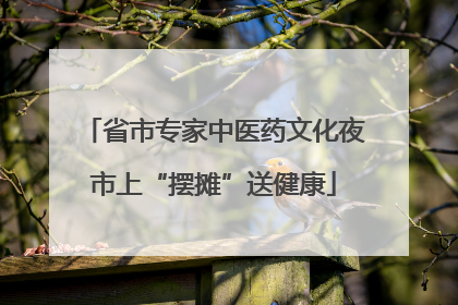 省市专家中医药文化夜市上“摆摊”送健康