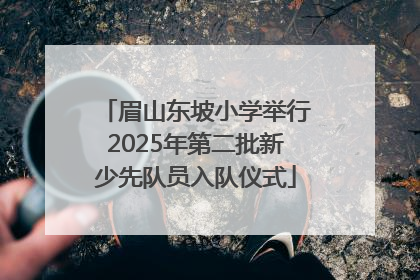眉山东坡小学举行2025年第二批新少先队员入队仪式