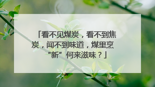 看不见煤炭，看不到焦炭，闻不到味道，煤里烹“新”何来滋味？