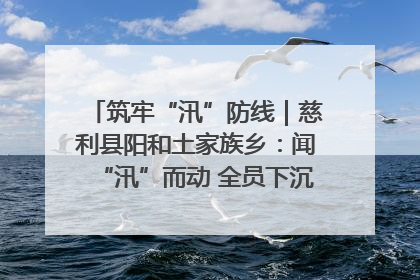 筑牢“汛”防线｜慈利县阳和土家族乡：闻“汛”而动 全员下沉筑牢防汛“安全堤”