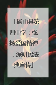 砀山县第四中学：弘扬爱国精神，深耕民法典宣传