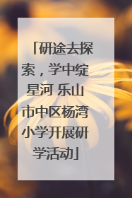 研途去探索，学中绽星河 乐山市中区杨湾小学开展研学活动