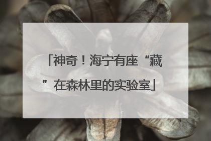 神奇！海宁有座“藏”在森林里的实验室