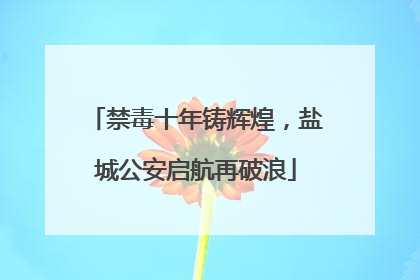 禁毒十年铸辉煌，盐城公安启航再破浪