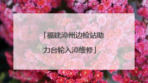 福建漳州边检站助力台轮入漳维修