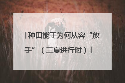 种田能手为何从容“放手”（三夏进行时）