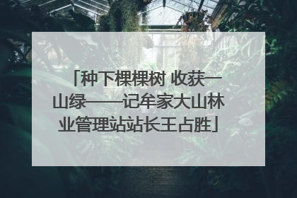 种下棵棵树 收获一山绿——记牟家大山林业管理站站长王占胜