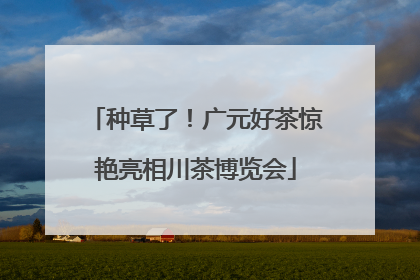 种草了！广元好茶惊艳亮相川茶博览会