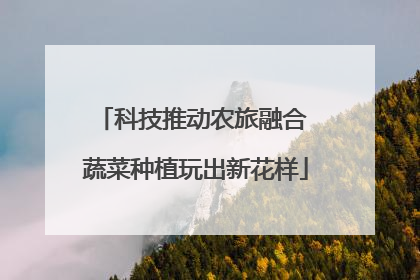 科技推动农旅融合 蔬菜种植玩出新花样