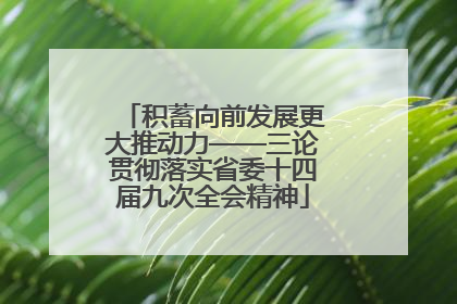 积蓄向前发展更大推动力——三论贯彻落实省委十四届九次全会精神