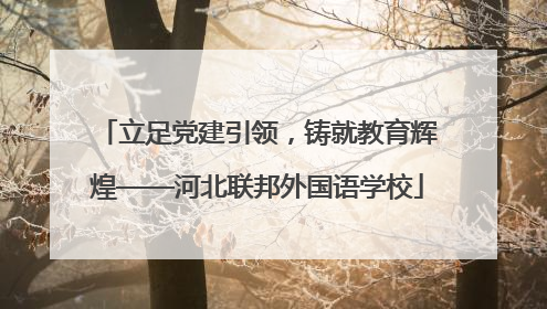 立足党建引领，铸就教育辉煌——河北联邦外国语学校