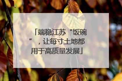 端稳江苏“饭碗”，让每寸土地都用于高质量发展