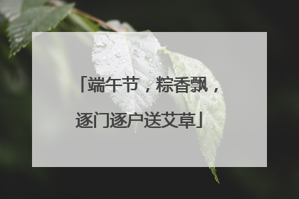 端午节，粽香飘，逐门逐户送艾草
